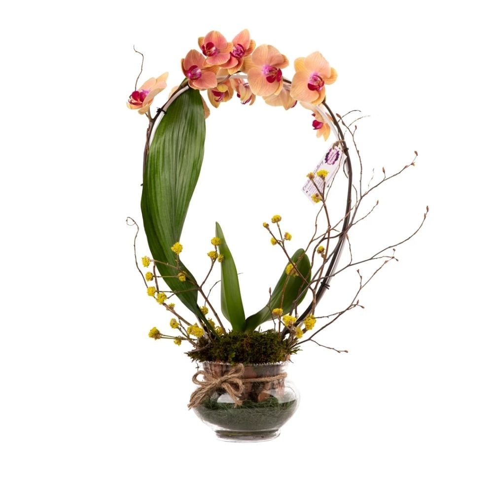 Կոմպոզիցիա նարնջագույն օրխիդով 016