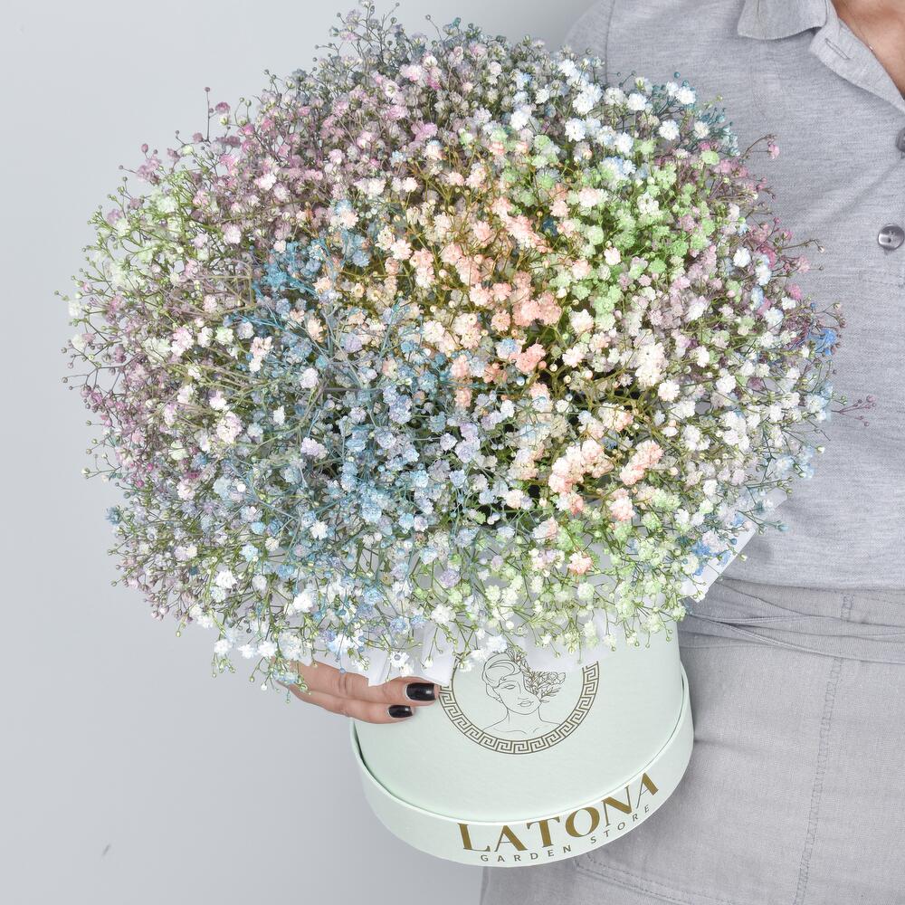 Flowers in a Box "Rainbow" with  baby breaths