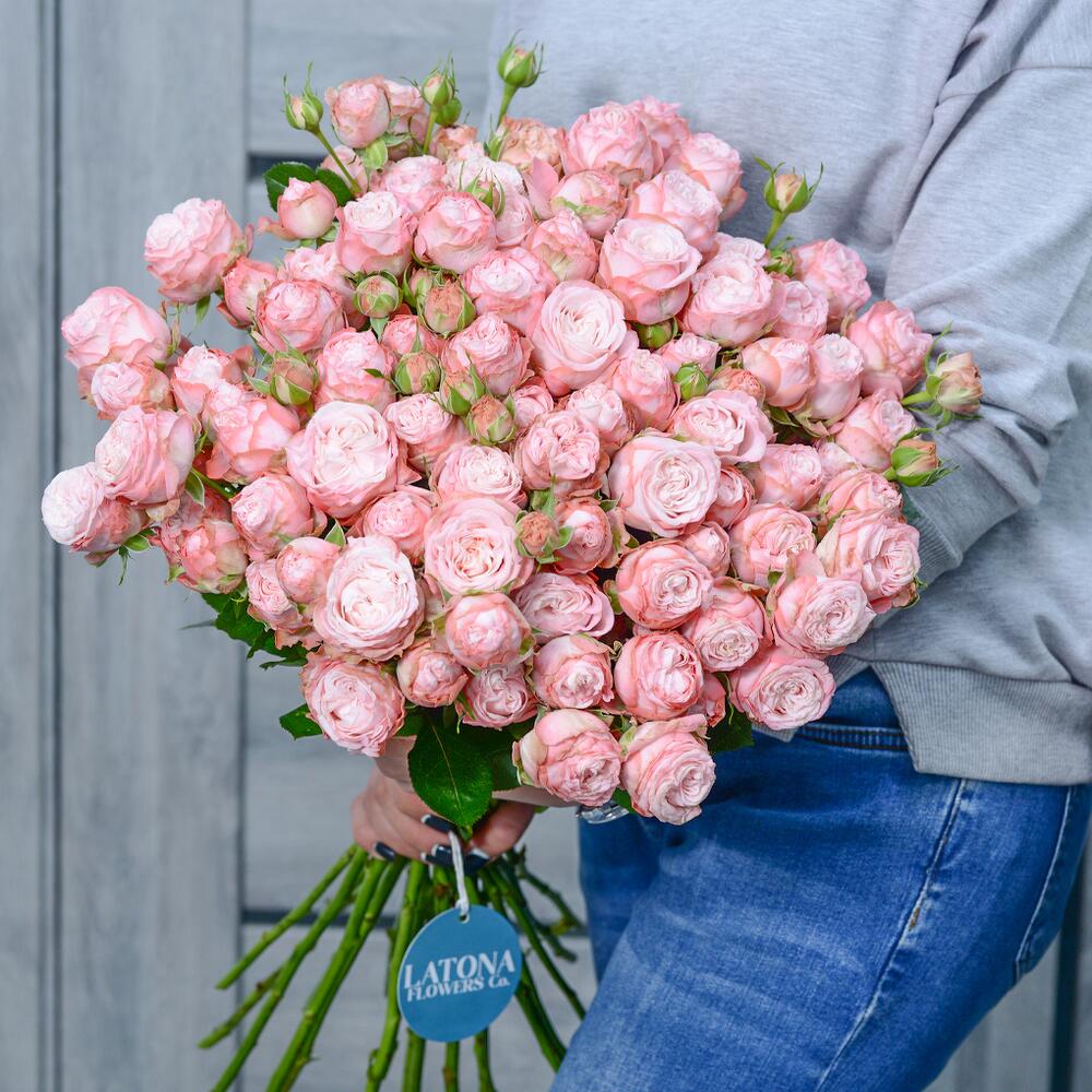 Bouquet "Madam Bombastic"