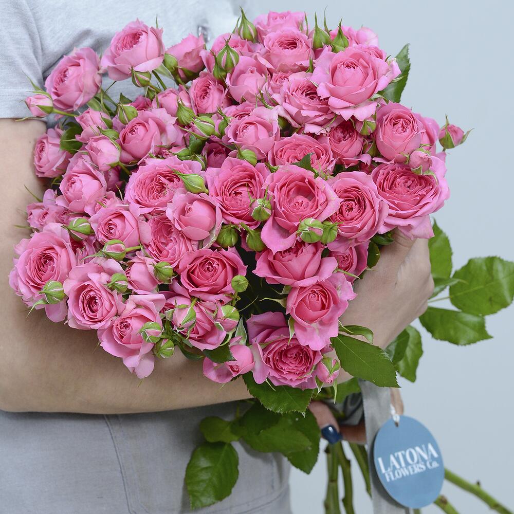 Ծաղկեփունջ վարդագույն փնջային վարդերով