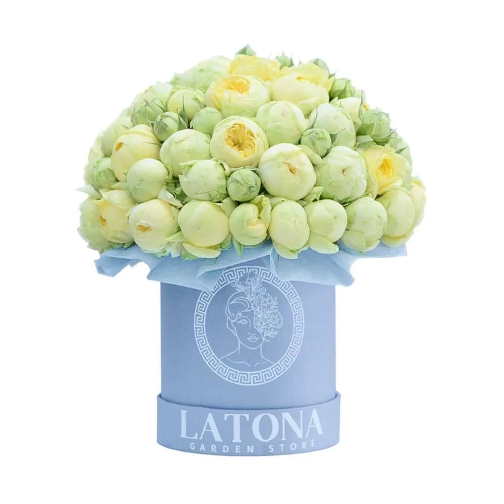 Flowers in a Box "Pandora" with yellow-green Peony Roses