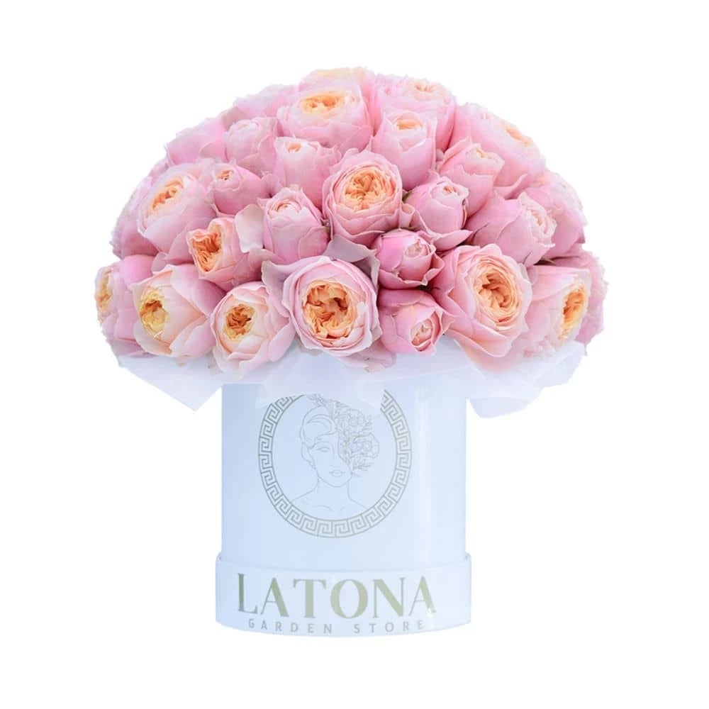 Flowers in a Box "Celeano" with pink Peony Roses