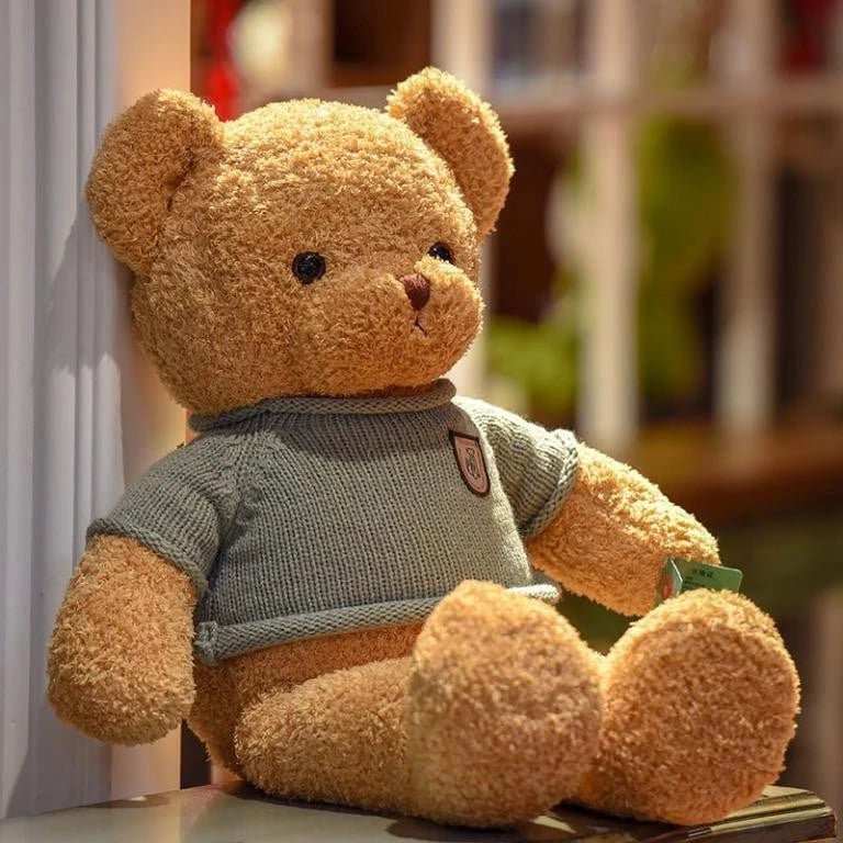 Teddy Bear Plush Toy with Hoodie