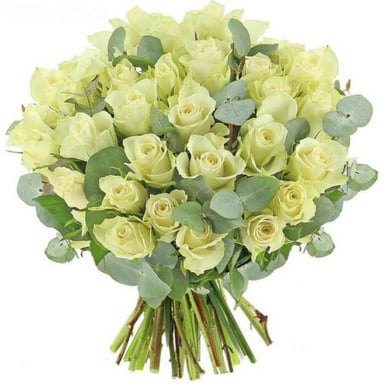 Flor de Star