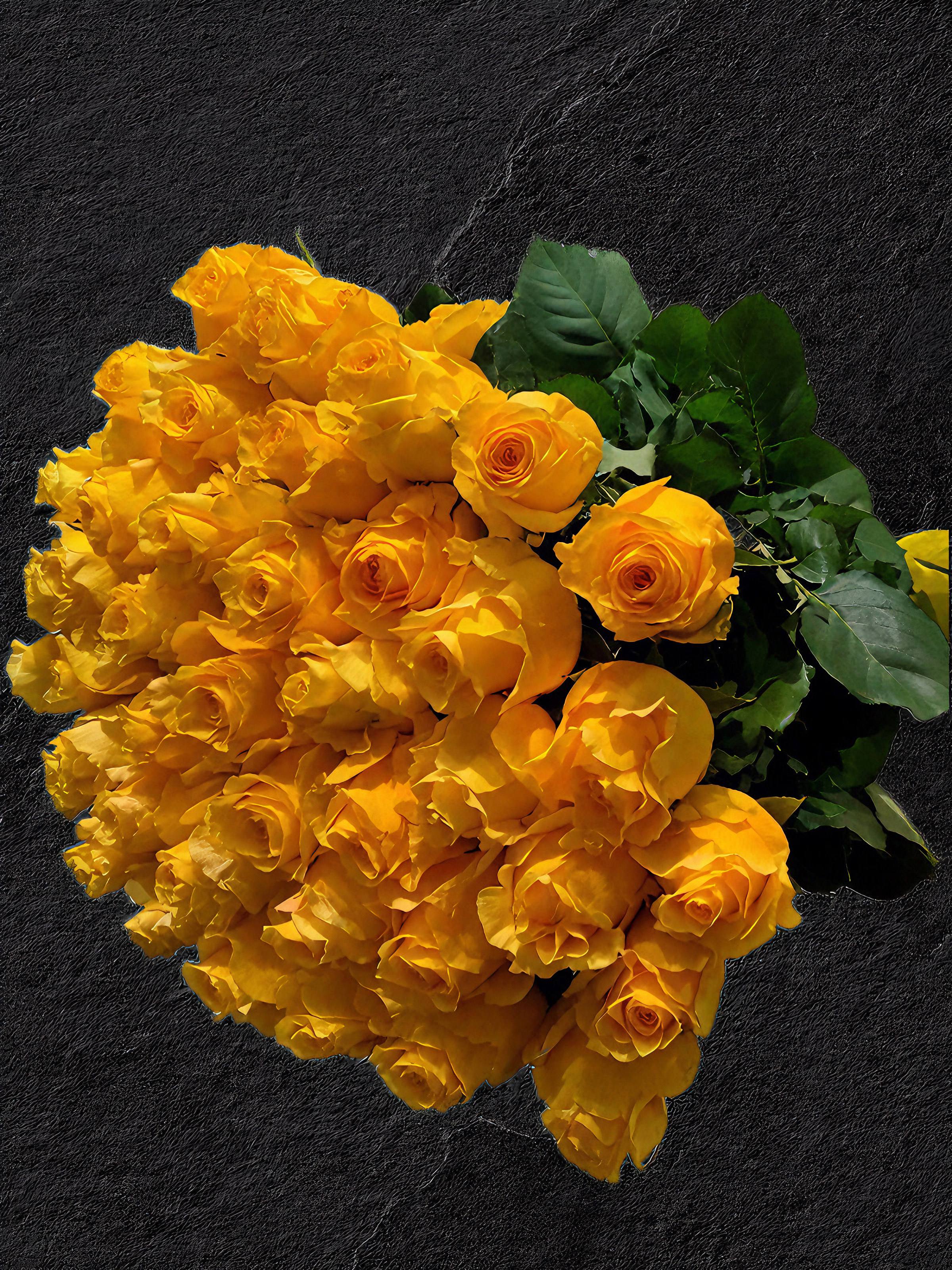 Yellow Roses