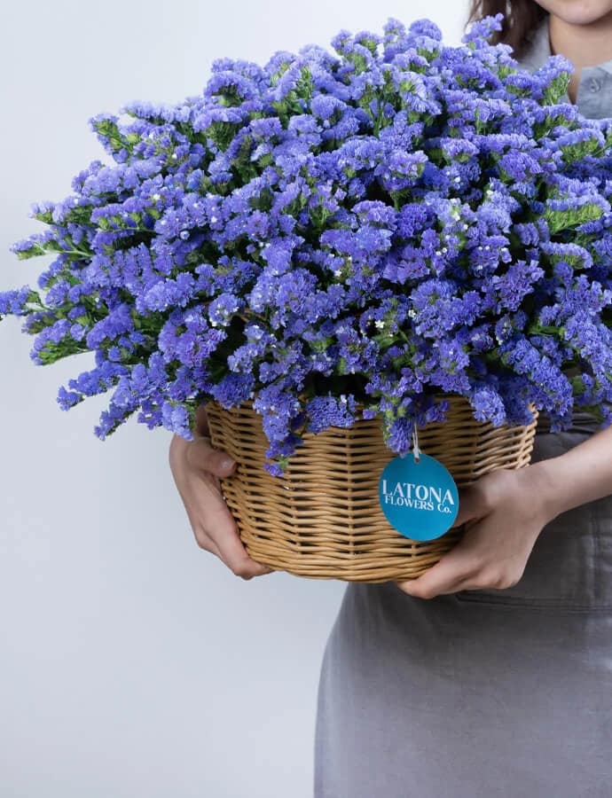 Flower in a Basket ‹DRY BLUE› with limoniums