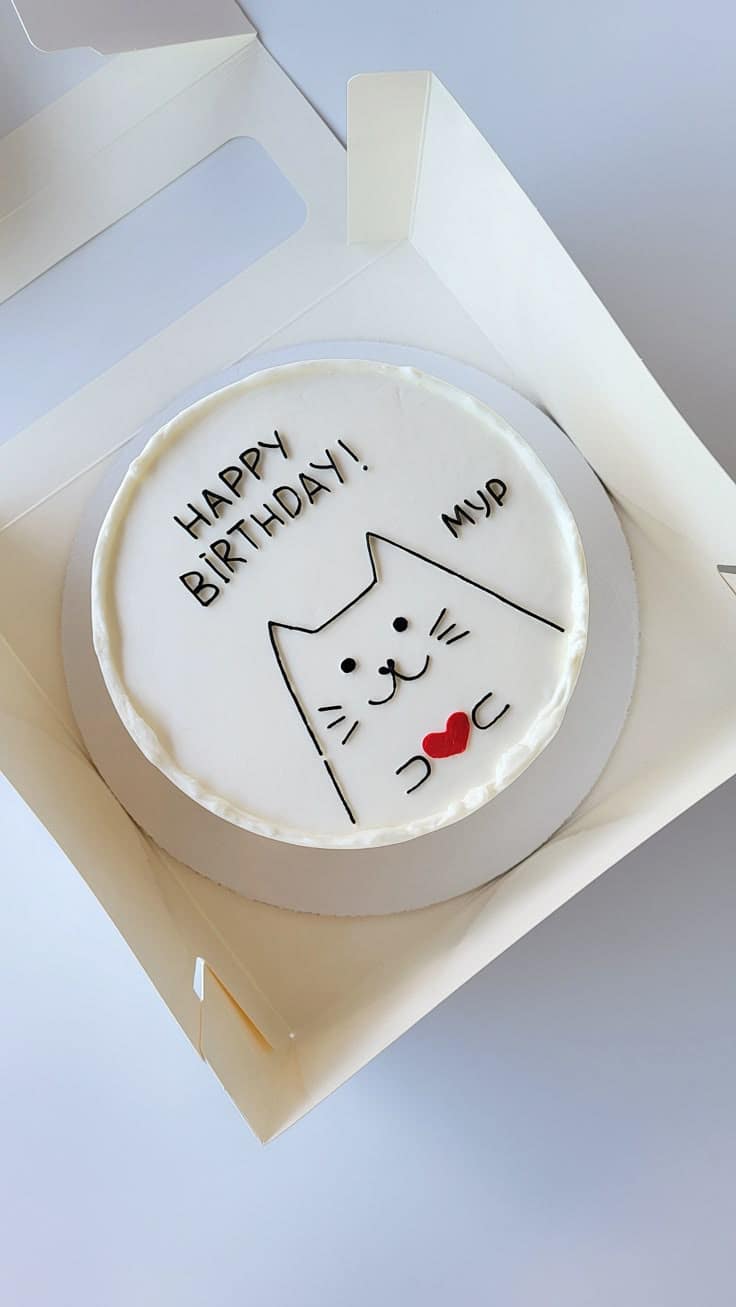 Bento Cakes "Happy Birthday"
