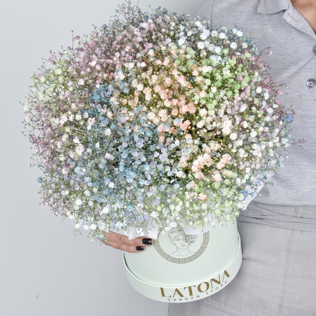 Flowers in a Box "Rainbow" with  baby breaths