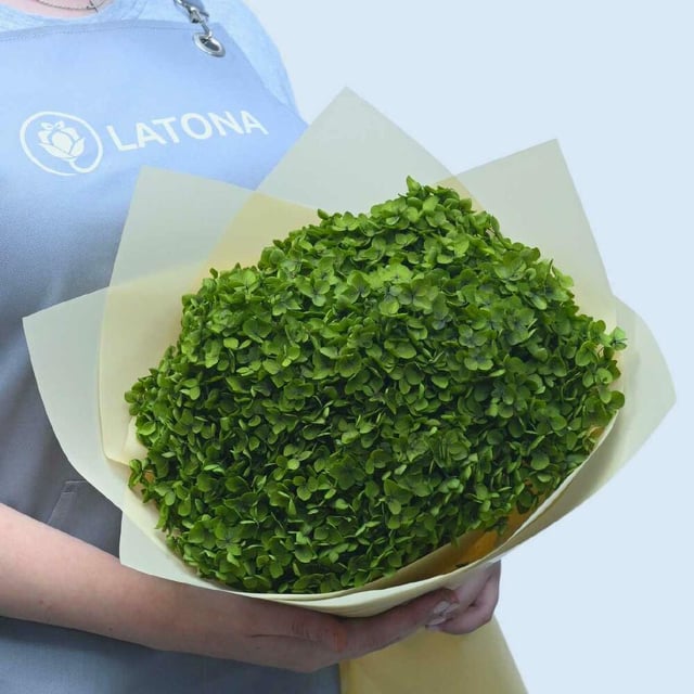 Bouquet "Green Aura"