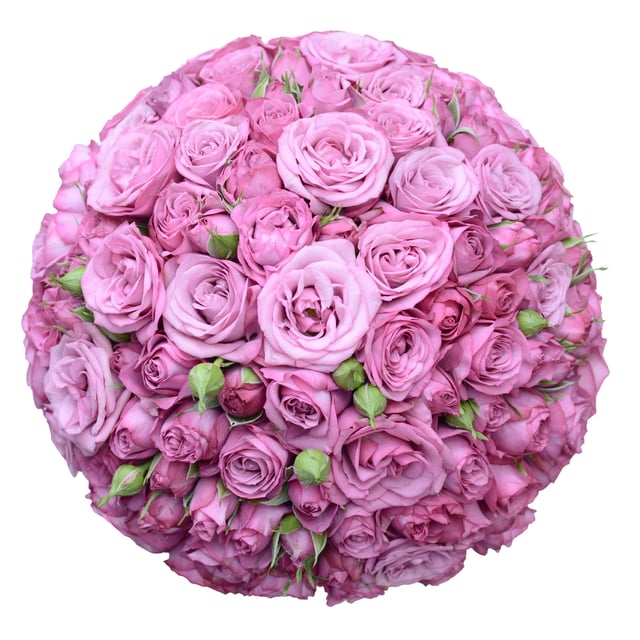 Flowers in a Box "Sedna" with pink Peony Roses