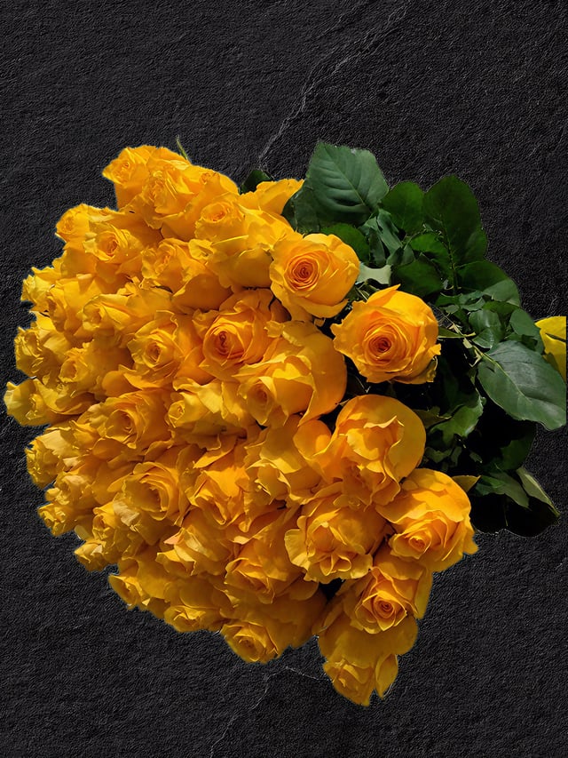 Yellow Roses