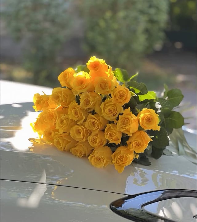 Yellow Rose