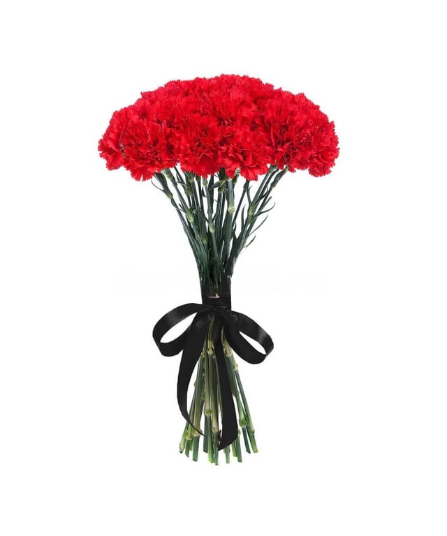 Bouquet of Red carnations