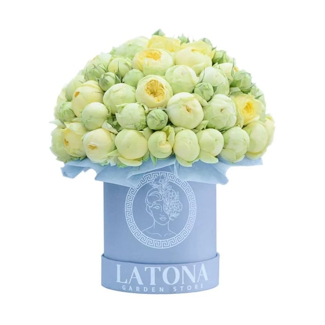 Flowers in a Box "Pandora" with yellow-green Peony Roses