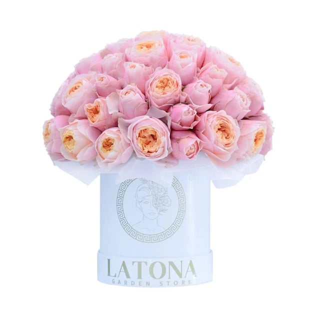 Flowers in a Box "Celeano" with pink Peony Roses