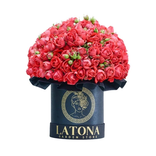 Flowers in a Box "Calypso" with red Spray Roses