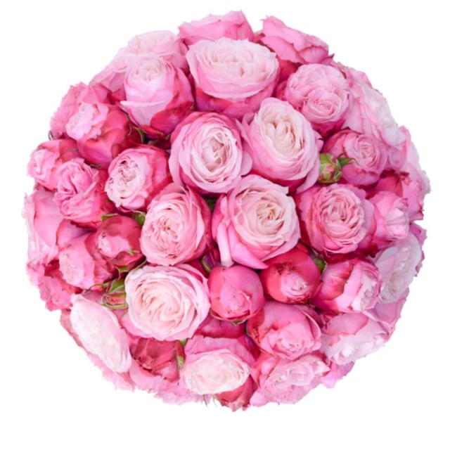 Flowers in a Box "Sasha" with pink Peony Roses