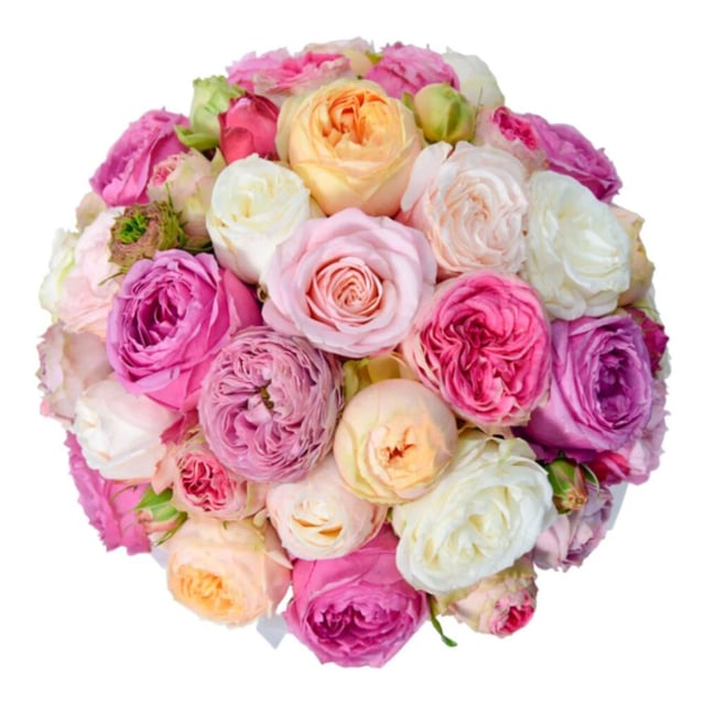 Flowers in a Box "Vesna" with multicolor Peony Roses