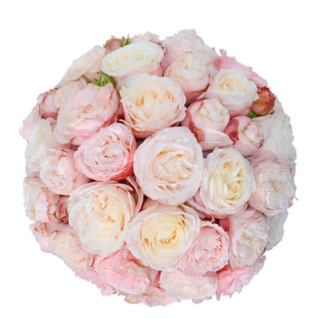 Flowers in a Box "Hanna" with soft-pink Peony Roses
