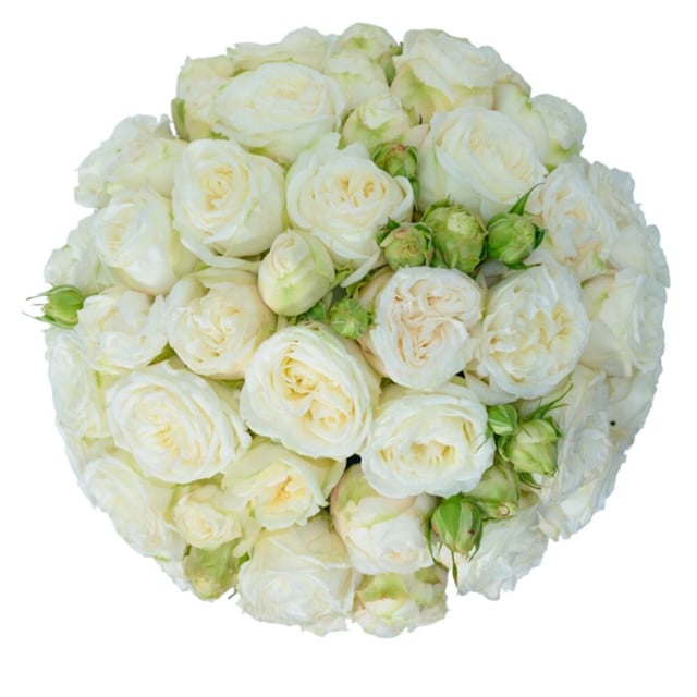 Flowers in a Box "Herman" with white Peony Roses