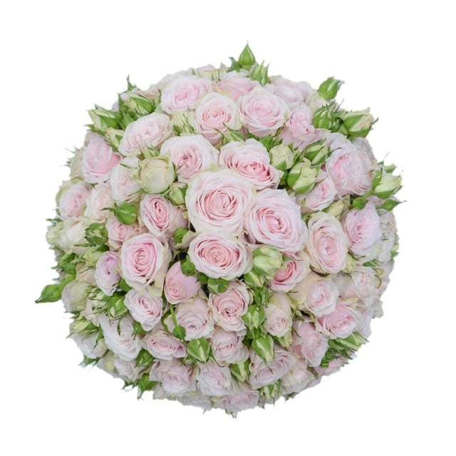 Flowers in a Box "Emily" with beige Peony Roses